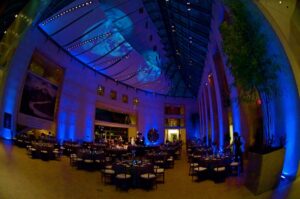 Peabody Essex Museum Salem - Boston Event Lighting